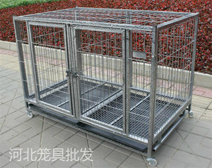 狗笼子底网