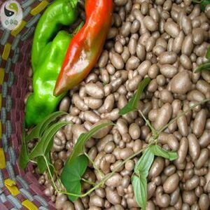 新鲜山药果山药豆,绿色纯天然山药果,药食同源,农家自产促