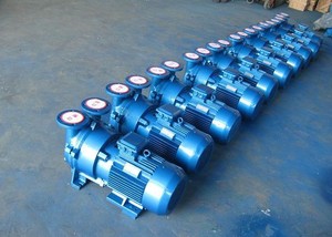 2BV5111 5.5KW 普通 防爆电机水环油环真空泵气液混合泵配件