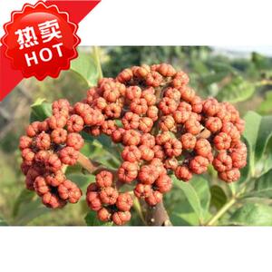 贵州土特产榕江野生棰油子(吴茱萸)榕江野生吴茱萸 可做香料