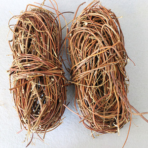 广东鸡骨草黄头草大黄草煲汤料250g 新货农家干货无硫薰2份包邮