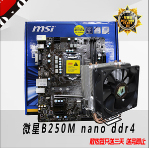 b250主板