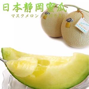 现货日本进口静冈网纹蜜瓜哈密瓜新鲜水果1个装顺丰包邮