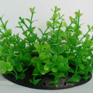 鱼缸假水草绿色