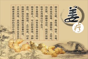 32寸推拿按摩原始点50《姜疗宣传图》写真图海报满百包邮覆膜防水