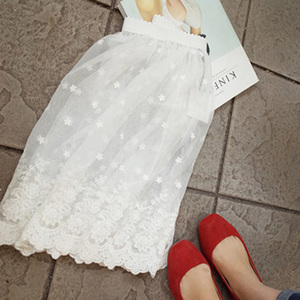 自制 韩国超美透明网纱绣花蕾丝松紧腰半身裙长款打底裙罩裙