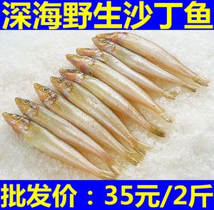 沙丁鱼新鲜包邮