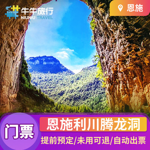 [腾龙洞-大门票]湖北恩施腾龙洞门票景交车