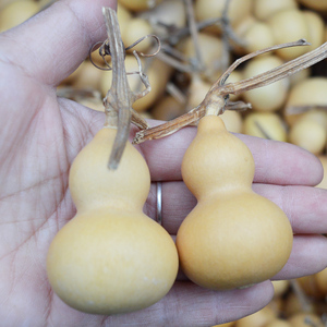 葫芦天然手捻小葫芦手把玩挂件皮质好量大优惠包浆快特小文玩饰品