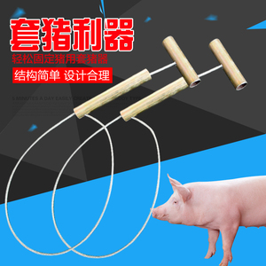 兽用养殖短钢管套猪器猪用保定器猪套子栓猪绳养猪场畜牧设备