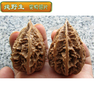 文玩核桃 东北野生楸子核桃 41mm边 龙骨塔尖秋子核桃 p 43