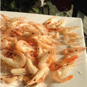 太湖野生白虾-淘宝拼多多热销太湖野生白虾货源拿货 - 阿里巴巴货源