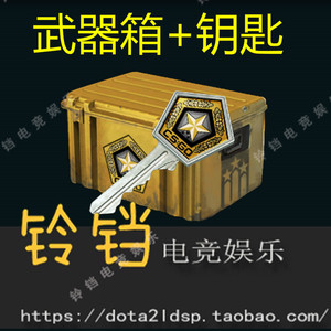 csgo 伽码 伽玛钥匙 key 武器箱 套装 武器装备皮肤代购