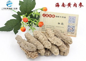 一斤60头海南三亚本地黄肉参白刺参淡干海参光参送礼佳品250g包邮