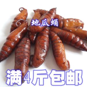 特产新鲜蛹子蚕蛹 地瓜虫蛹 地瓜蛹红薯蛹9省4斤包邮500g