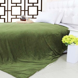双层棉花绒休闲毯子秋冬加厚双人床盖毯保暖羊羔绒毛毯军绿色包邮