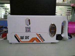 菲尔(泰麒)锂电池 电动自行车 电瓶车 子母亲子车电池 带外壳