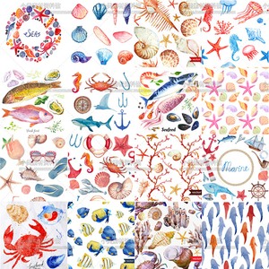 手绘水彩海洋夏日贝壳螃蟹鲨鱼水母鱼珊瑚海星背景插图案矢量素材