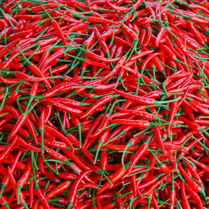 新鲜红辣椒小尖椒泰国小米椒指天椒朝天椒 小辣椒 辣椒酱1斤装