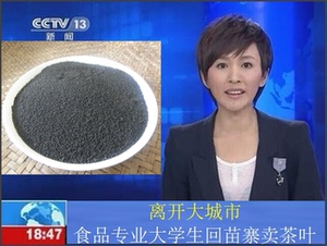 掌柜上央视【买3送1】湖南城步长安营虫茶苗乡三叶海棠虫屎龙珠茶图片