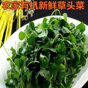 金花菜