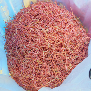 农家自种自晒干胡萝卜丝 红萝卜丝 红萝卜干脱水蔬菜潜山特产包邮