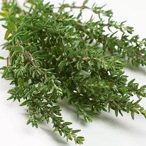 惠鲜汇新鲜百里香香叶食用西餐香料thyme有杭州同城配送