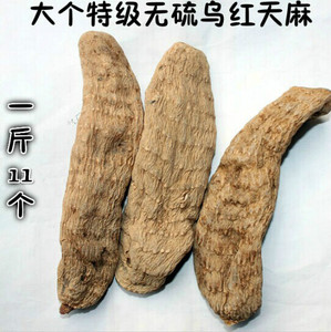 大天麻包邮 大个乌红天麻 天然正品 500克 仿野生天麻