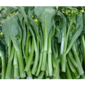 海南三亚馆 蔬菜 菜心0.5kg 仅三亚市发货,满50送上门