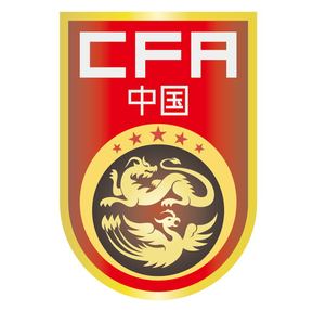 中国国家足球队队标热转印烫画贴/diy个性定制/数码印花