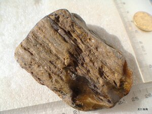 水冲硅化木 黄碧玉质木化石原石 天然石头 141克