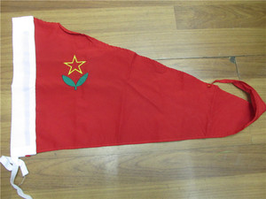 同款货源汉兴旗舰店天猫包邮儿童团团旗儿童团苗苗旗少先队队旗中