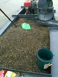 养殖专用吸螺船真空吸螺船吸蚬子船吸螺泵田螺螺蛳捕捞机设备