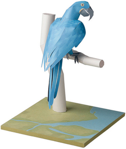 手工diy紫蓝色金刚鹦鹉纸模型3D立体世界珍稀濒危动物模型鸟模型