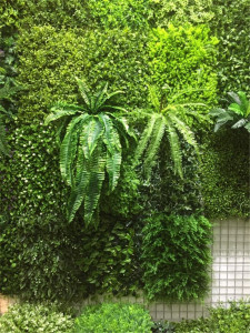 仿真植物草坪背景墙装饰配材软胶蕨类波斯草假花万年青绿萝叶吊兰