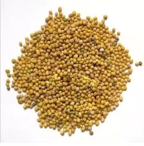 中药材白芥子 芥菜子 辣菜子 500克任意2件包邮送运费险