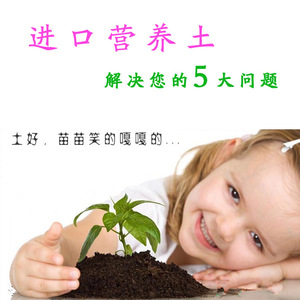 园艺基质 进口营养土 草炭土香草植物通用营养土香草专用土有机肥