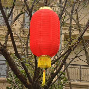 新年春节装饰灯笼 冬瓜灯农家乐灯笼 街道灯笼宫灯 农庄酒店装饰