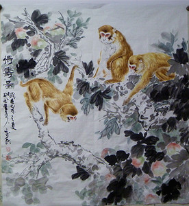 杨佳烨手绘国画原创六尺不斗方猴子摘桃工笔猴子已经装裱成画轴