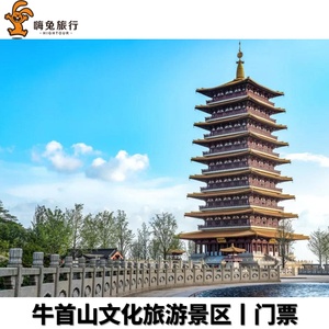 [牛首山文化旅游区-大门票]江苏南京牛首山文化旅游区门票