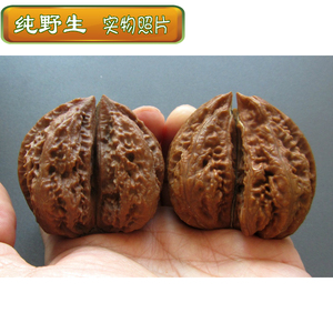 文玩核桃 东北野生楸子 49mm边 异形 双棒 连体秋子核桃 k 49