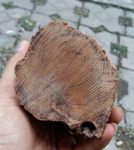 广西天然土沉香开云沉香原木料老料木雕根雕摆件把玩工艺佛珠原料