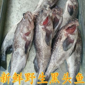 野生黑头鱼 海鱼黑鱼 新鲜鱼 鲜活鱼 海鲜制品 特产鱼 刺少肉多