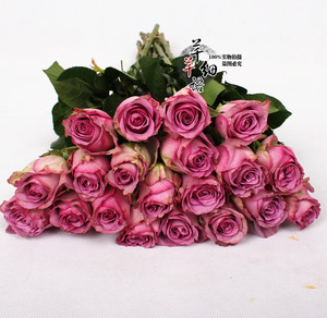 色悠悠视频av大全报价,wwwuo23cn的越野性能,蜜桃成熟时音乐高清图片