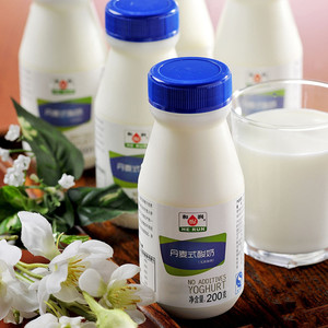 和润丹麦式酸奶6x200g 无添加剂 风味酸奶特有的全乳蛋白 口感佳