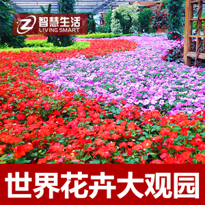 北京世界花卉大观园门票 菊花节门票 成人票儿童票电子票