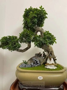 饮酒读书公吹萧弹琴耕农假山盆景摆件人物造景装饰品家居书桌装饰