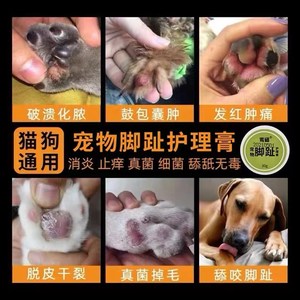 狗狗趾间炎猫咪脚趾炎专用宠物指间药膏爪子甲沟指沟X指尖发炎外