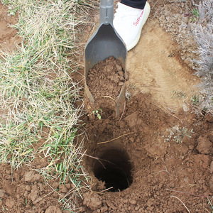 洛阳铲考古打洞专业取土器挖土锰钢泥沙铲头勘探针打井桩农用工具