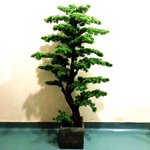 仿真植物b大型假树发财树客厅摆设酒店装潢特价假花2米木兰树盆景